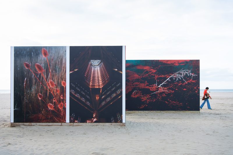 Stanislas Augris, La Morsure, Planches Contact 2022 © Sandrine Boyer Engel