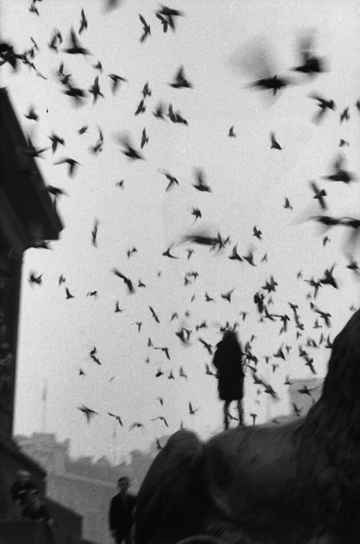 Sergio Larrain photographe