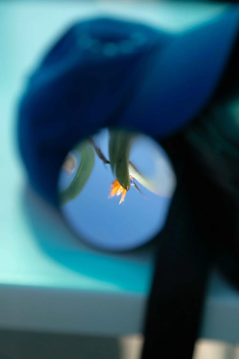 © Chistopher Barraja