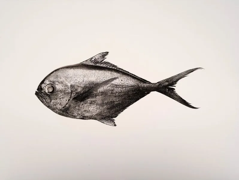 Sans titre, Creatures of the seven seas - 2019 - 40 x 30 cm - Jan Schlegel - baudoin lebon Sans titre, Creatures of the seven seas - 2019 - 40 x 30 cm - Jan Schlegel - baudoin lebon