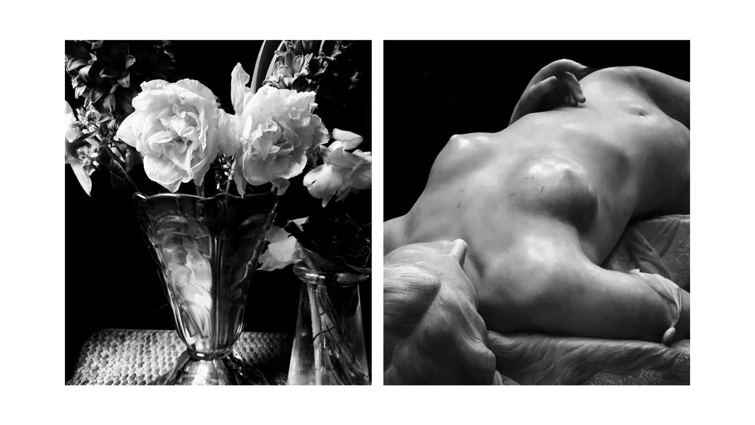 Photo Olga Caldas - Le Jardin des Métamorphoses