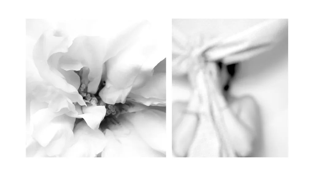 Le Jardin des Méthamorphoses 2 - Olga Caldas