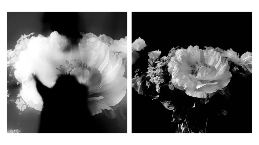 Le Jardin des Métamorphoses - Olga Caldas
