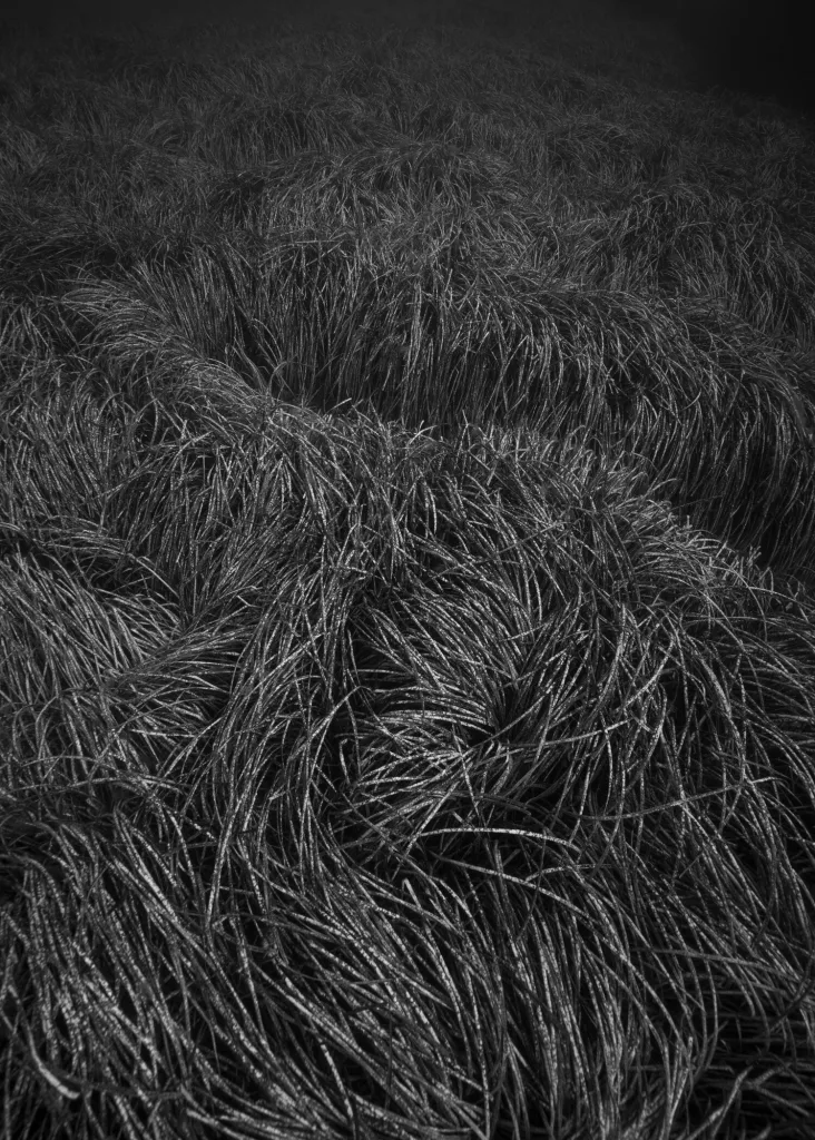 Invisible Parallèle - Iles de Lérins par Nicolas Floch