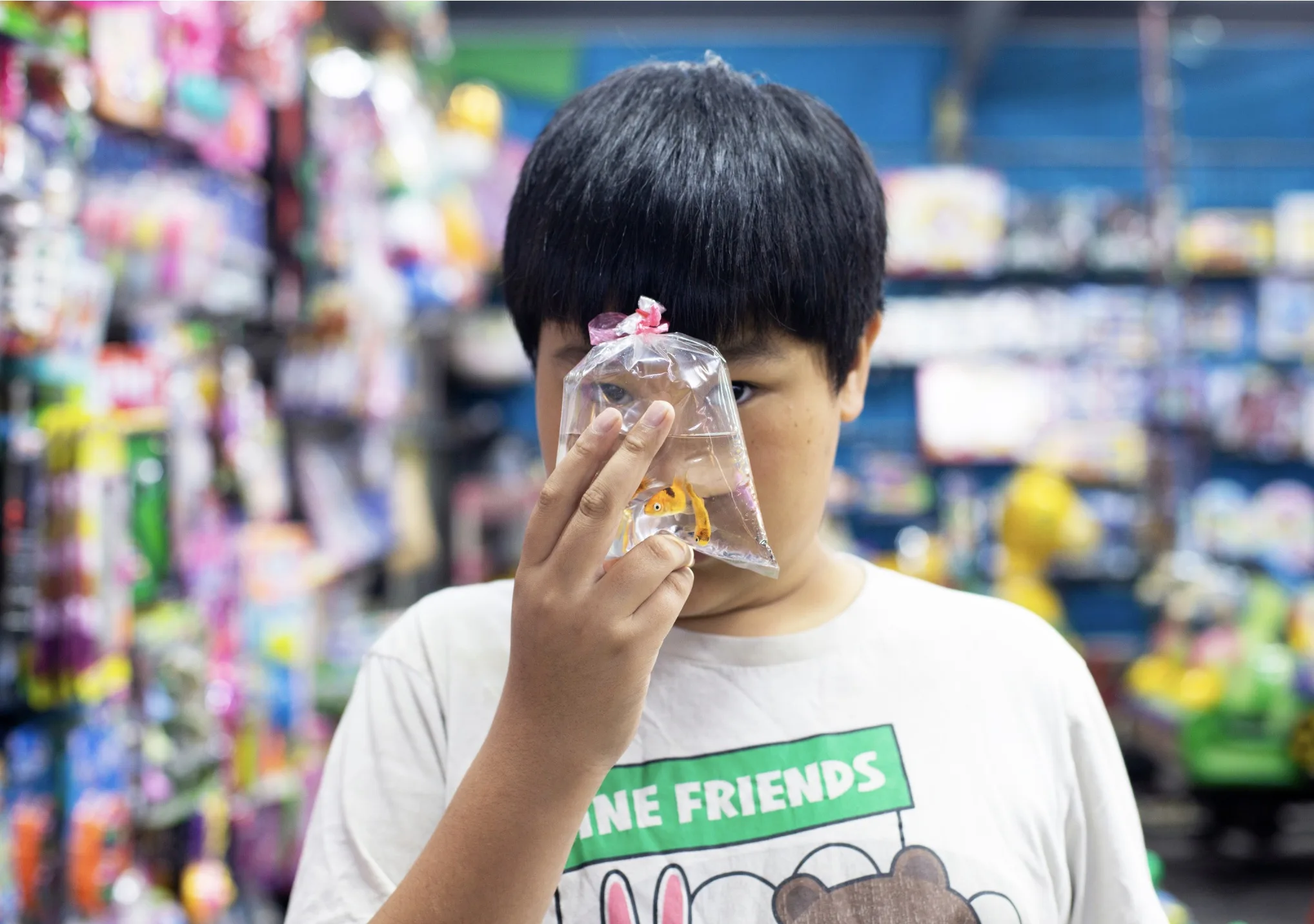 Looks through the fishes, 2018 par Chia Hang