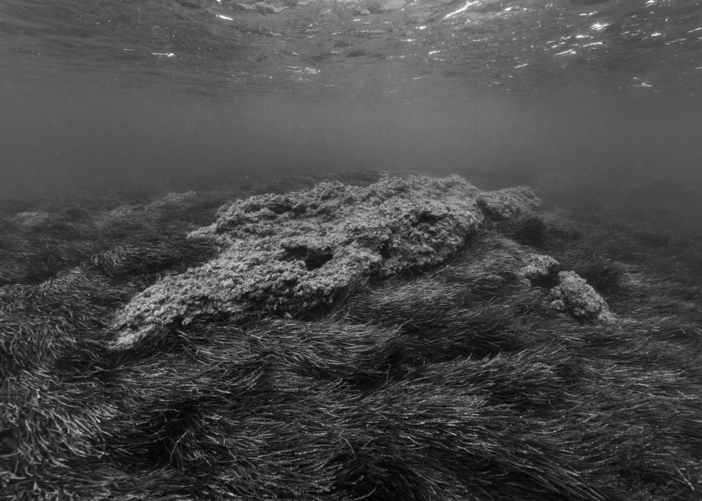 Invisible Parallèle - Iles de Lérins par Nicolas Floc'h