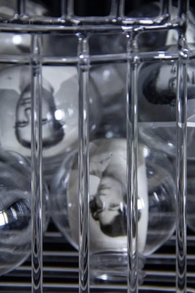 Christian Fogarolli, Gardés en cage (détail), 2025, verre borosilicate, photographies d'archives, plastique, 200 x 30 x 30 cm. Courtesy Christian Fogarolli et Galerie Alberta Pane Christian Fogarolli, Gardés en cage (détail), 2025, verre borosilicate, photographies d'archives, plastique, 200 x 30 x 30 cm. Courtesy Christian Fogarolli et Galerie Alberta Pane