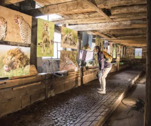 ETABLE - Jean PRAT DENIS HUOT - 2020