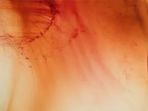 Wolfgang Tillmans