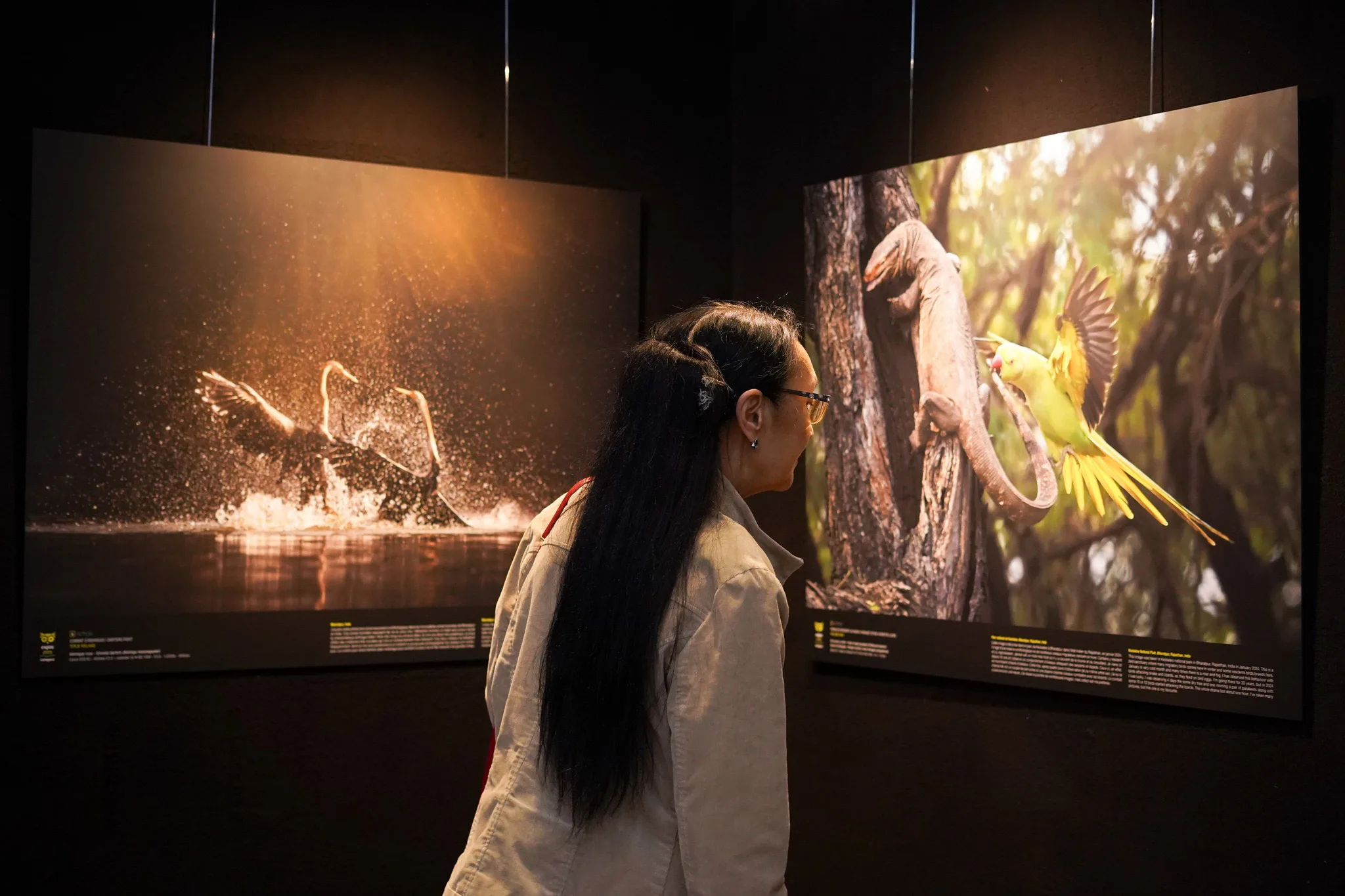 Expo Emotion'Ailes 2024