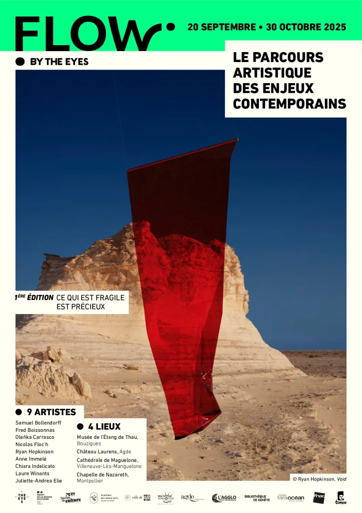Affiche FLOW