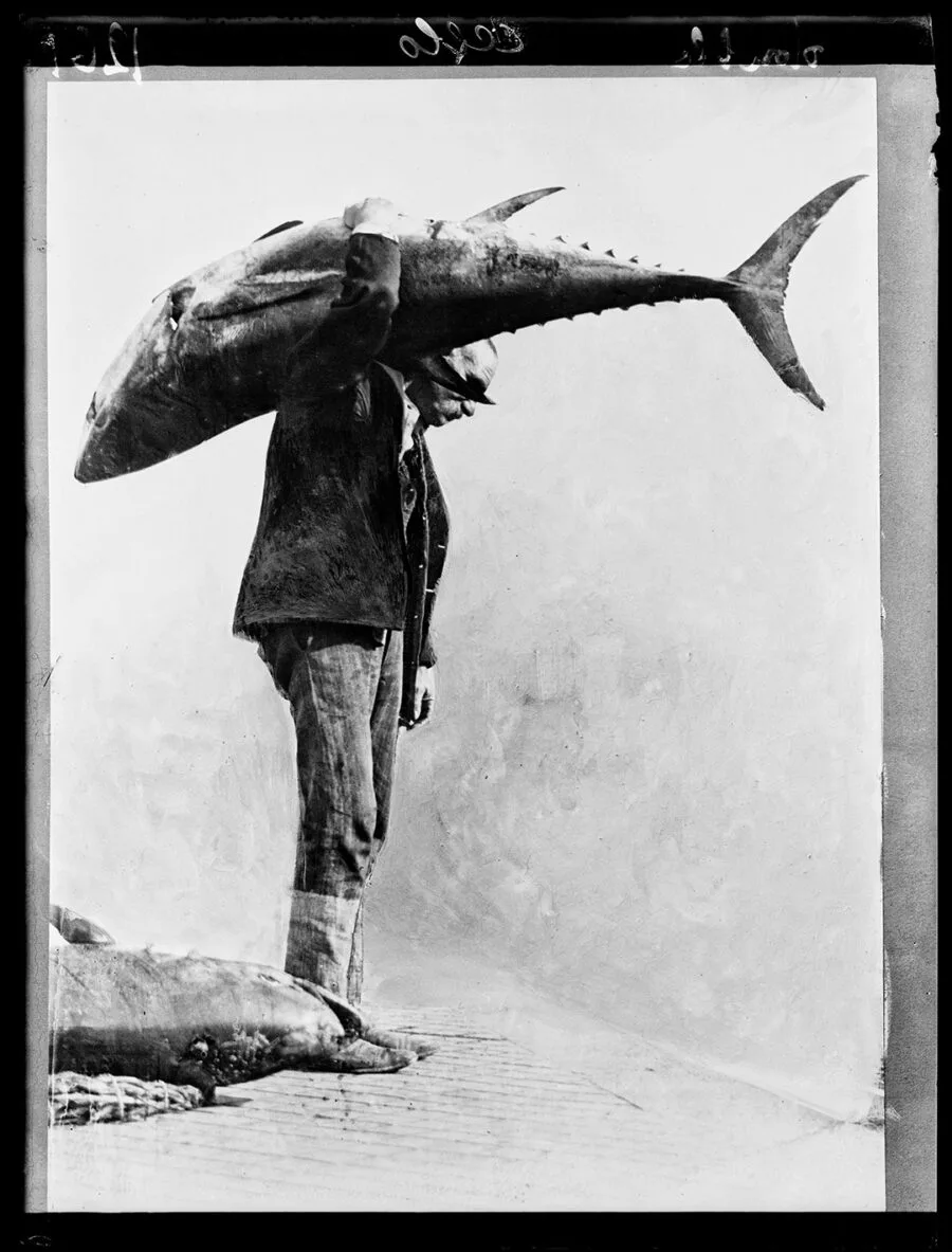 Fred Boissonnas, L’Odyssée, la photographie, et la mémoire évanescente de la Méditerranée Fred Boissonnas, L’Odyssée, la photographie, et la mémoire évanescente de la Méditerranée
