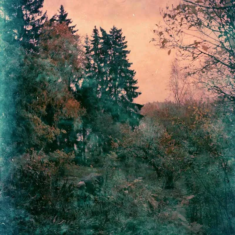 "Sur le fil – Reunalla : Émergence de la photographie finlandaise contemporaine à Strasbourg"