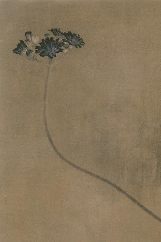 Photo © Sophie Zenon