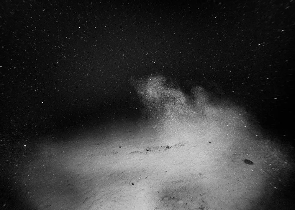 Photo © Nicolas Floc'h Photo © Nicolas Floc'h