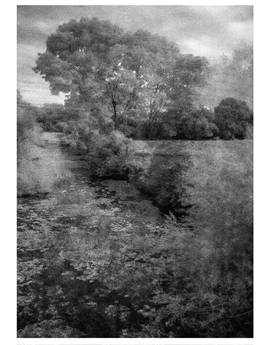 Photo © Sophie Zenon