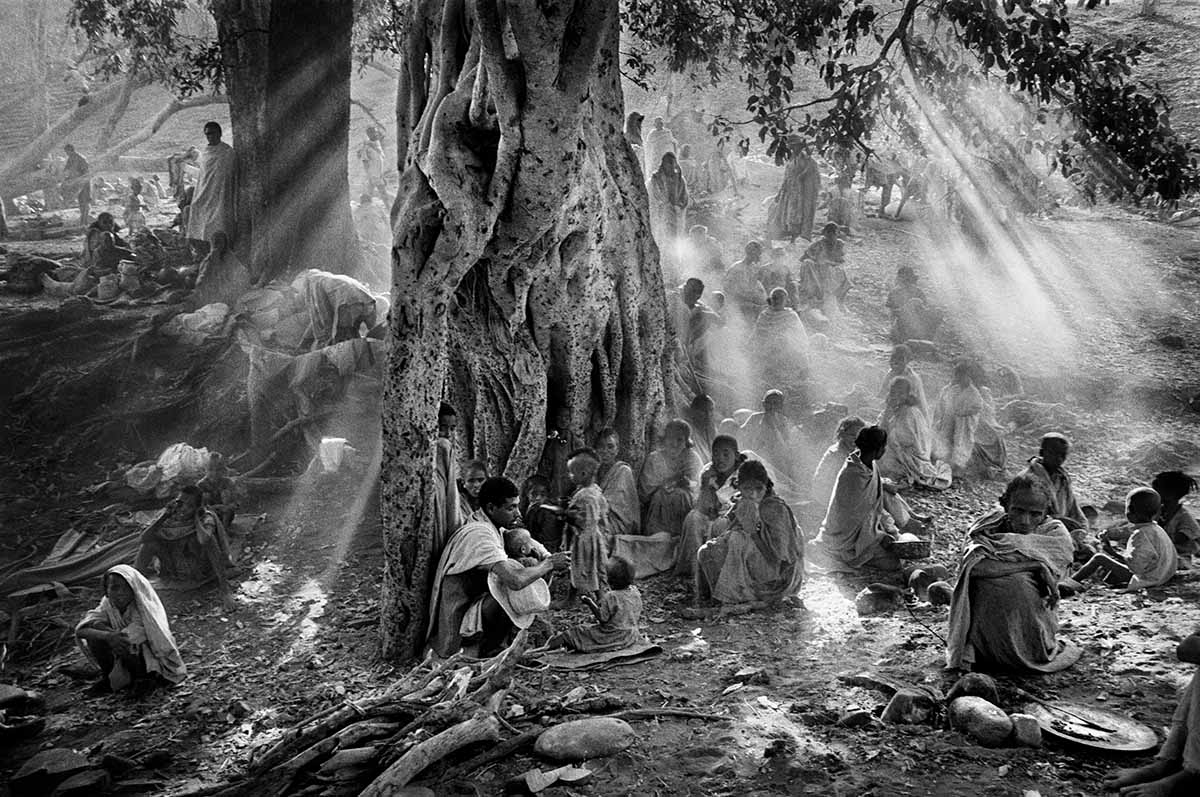 La grande expo-hommage à Sebastião Salgado - Paris 3 La grande expo-hommage à Sebastião Salgado - Paris