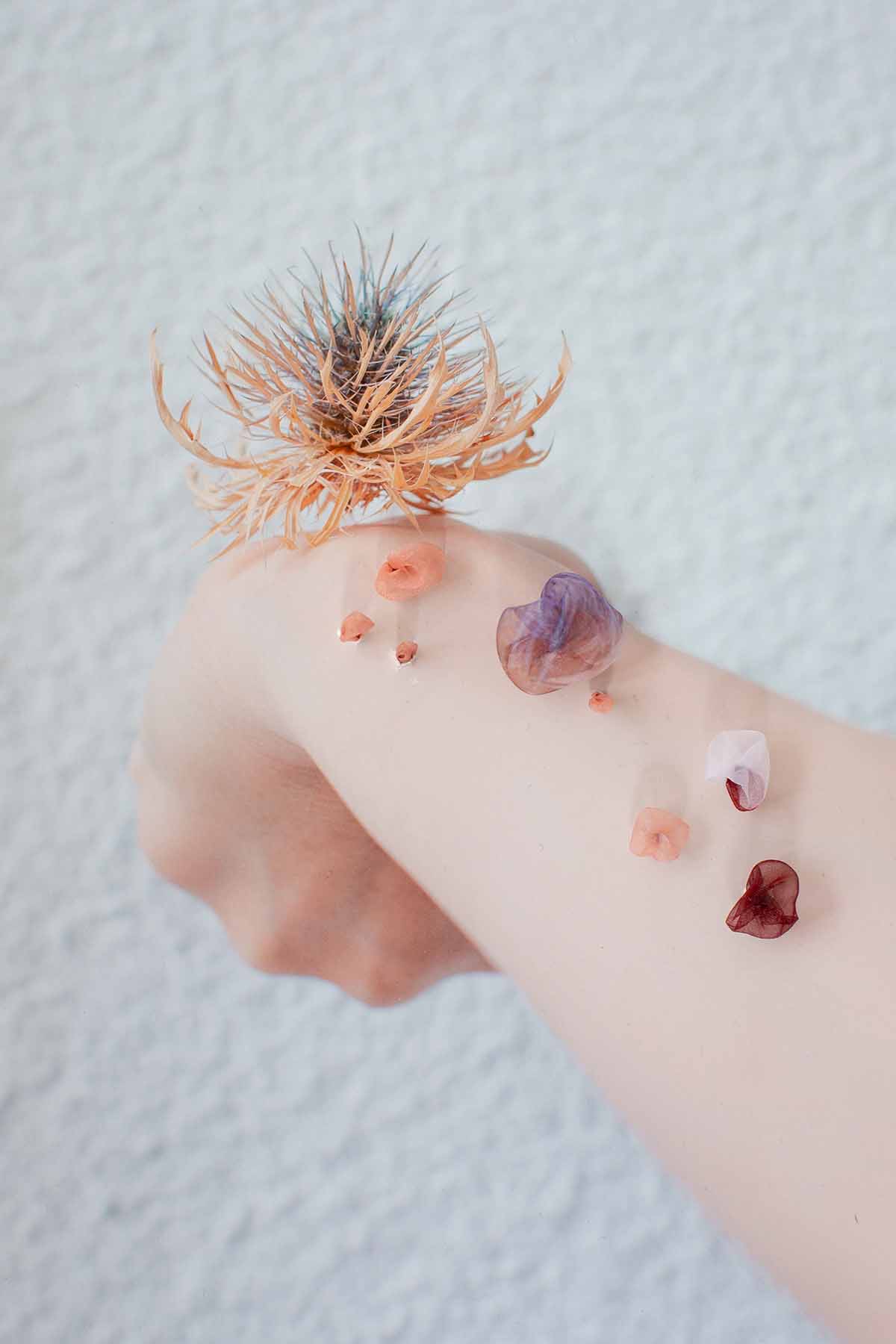 Mesnographie #6 édition © Juliette Andréa Elie