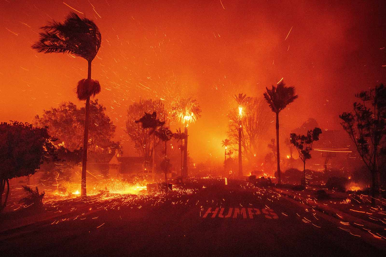 In the Path of Fire, 2025 Associated Press/Alamy/Ethan Swope