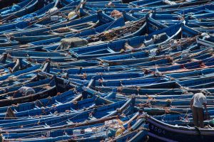 Maroc : De la ville rouge à la cité bleue (8 jours)